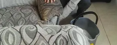 Business 12 image PINKY & THE STAIN PROFESSIONAL CARPET CLEANERS Upholstery cleaners in KZN in Port Elizabeth EC