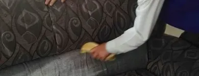 Business 13 image PINKY & THE STAIN PROFESSIONAL CARPET CLEANERS Upholstery cleaners in KZN in Port Elizabeth EC