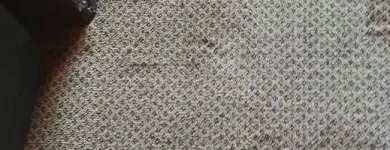 Business 14 image PINKY & THE STAIN PROFESSIONAL CARPET CLEANERS Upholstery cleaners in KZN in Port Elizabeth EC