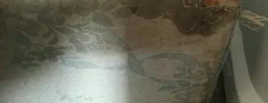 Business 19 image PINKY & THE STAIN PROFESSIONAL CARPET CLEANERS Upholstery cleaners in KZN in Port Elizabeth EC