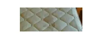 Business 23 image PINKY & THE STAIN PROFESSIONAL CARPET CLEANERS Upholstery cleaners in KZN in Port Elizabeth EC