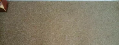 Business 26 image PINKY & THE STAIN PROFESSIONAL CARPET CLEANERS Upholstery cleaners in KZN in Port Elizabeth EC