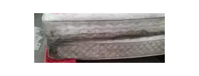 Business 30 image PINKY & THE STAIN PROFESSIONAL CARPET CLEANERS Upholstery cleaners in KZN in Port Elizabeth EC