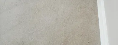 Business 31 image PINKY & THE STAIN PROFESSIONAL CARPET CLEANERS Upholstery cleaners in KZN in Port Elizabeth EC