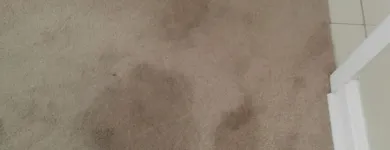 Business 32 image PINKY & THE STAIN PROFESSIONAL CARPET CLEANERS Upholstery cleaners in KZN in Port Elizabeth EC