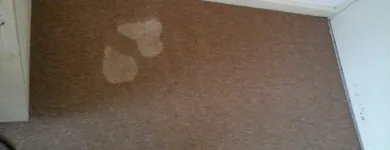 Business 33 image PINKY & THE STAIN PROFESSIONAL CARPET CLEANERS Upholstery cleaners in KZN in Port Elizabeth EC