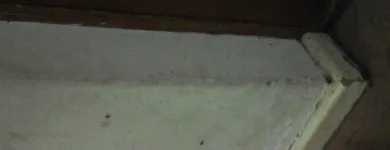 Business 36 image PINKY & THE STAIN PROFESSIONAL CARPET CLEANERS Upholstery cleaners in KZN in Port Elizabeth EC