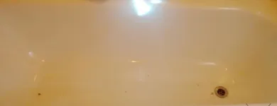 Business 40 image PINKY & THE STAIN PROFESSIONAL CARPET CLEANERS Upholstery cleaners in KZN in Port Elizabeth EC