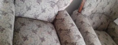 Business 41 image PINKY & THE STAIN PROFESSIONAL CARPET CLEANERS Upholstery cleaners in KZN in Port Elizabeth EC