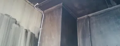 Business 48 image PINKY & THE STAIN PROFESSIONAL CARPET CLEANERS Upholstery cleaners in KZN in Port Elizabeth EC