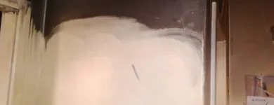 Business 49 image PINKY & THE STAIN PROFESSIONAL CARPET CLEANERS Upholstery cleaners in KZN in Port Elizabeth EC