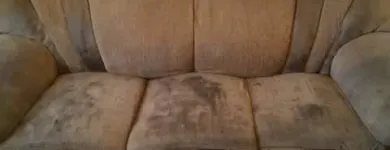 Business 61 image PINKY & THE STAIN PROFESSIONAL CARPET CLEANERS Upholstery cleaners in KZN in Port Elizabeth EC