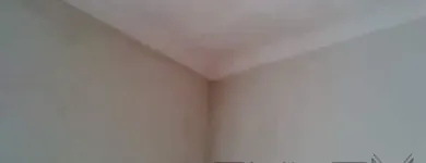 Business 63 image PINKY & THE STAIN PROFESSIONAL CARPET CLEANERS Upholstery cleaners in KZN in Port Elizabeth EC