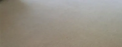 Business 67 image PINKY & THE STAIN PROFESSIONAL CARPET CLEANERS Upholstery cleaners in KZN in Port Elizabeth EC