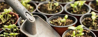 Business 2 image PLANTLAND MENLYN GARDEN CENTRE plant shop in Pretoria GP