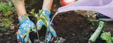 Business 5 image PLANTLAND MENLYN GARDEN CENTRE plant shop in Pretoria GP