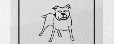 Business 3 image QUIRKY PET DESIGNS Warning Signs in Cape Town WC