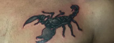 Business 6 image SACRED SERPENT TATTOO STUDIO Tattoos in Johannesburg GP