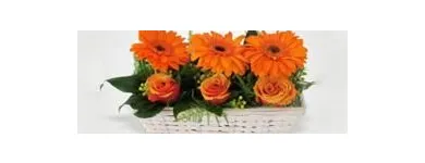 Maatskappy 1 beeld SHELLY FLORIST & GIFTS Flower Arrangement in Margate ZAF