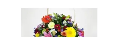 Maatskappy 2 beeld SHELLY FLORIST & GIFTS Flower Arrangement in Margate ZAF
