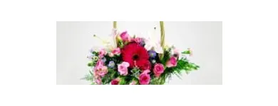 Maatskappy 3 beeld SHELLY FLORIST & GIFTS Flower Arrangement in Margate ZAF