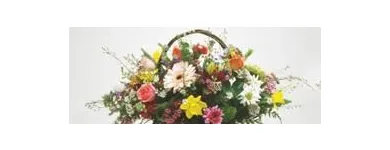 Maatskappy 4 beeld SHELLY FLORIST & GIFTS Flower Arrangement in Margate ZAF