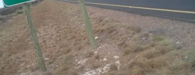 Business 2 image THE TRANSPORTER REMOVAL Packing in Randburg GP