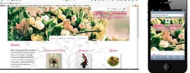 Maatskappy 1 beeld THETAWARE Websites in Johannesburg GP