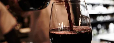 Maatskappy 1 beeld TURN 'N TENDER Wine in Boksburg GP