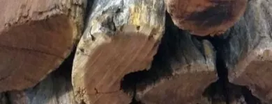 Maatskappy 3 beeld WOOD KINGZ Kaggel Hout in Cape Town WC