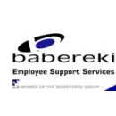 BABEREKI Staff Outsourcing in Johannesburg GP