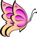 TOUCH OF GRACE Nail Salons in Cape Town WC