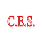 CHINA'S ENGINEERING SERVICES
