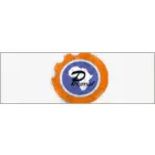 PHUMELELA AFRICA PROFESSIONAL ENGINEERS (PTY) LTD