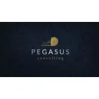 PEGASUS CONSULTING