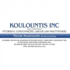 KOULOUNTIS INC