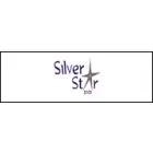 SILVERSTAR DVD PARKVIEW