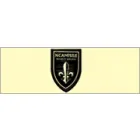 NCAMISILE SECURITY SERVICES